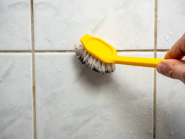 Best Black Mold Remediation in Rockville, MD