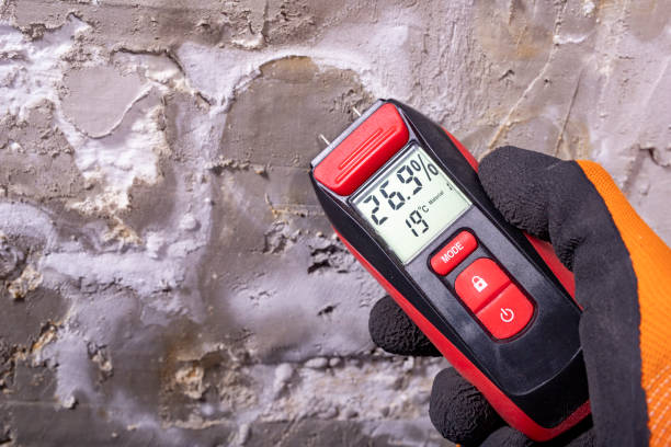 Best Localized Mold Remediation (e.g., coastal areas, humid climates) in Rockville, MD